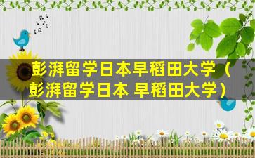 彭湃留学日本早稻田大学（彭湃留学日本 早稻田大学）